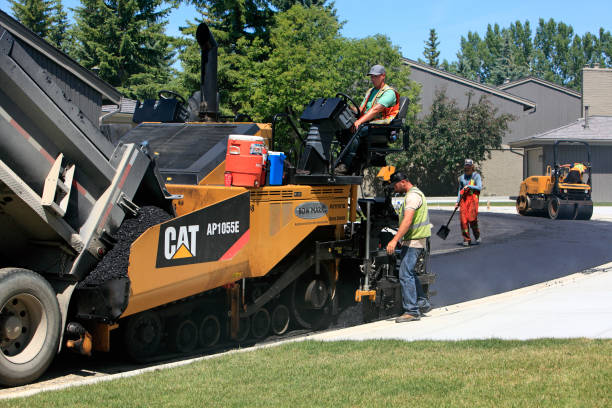 Best Residential Paver Driveway  in Springerville, AZ